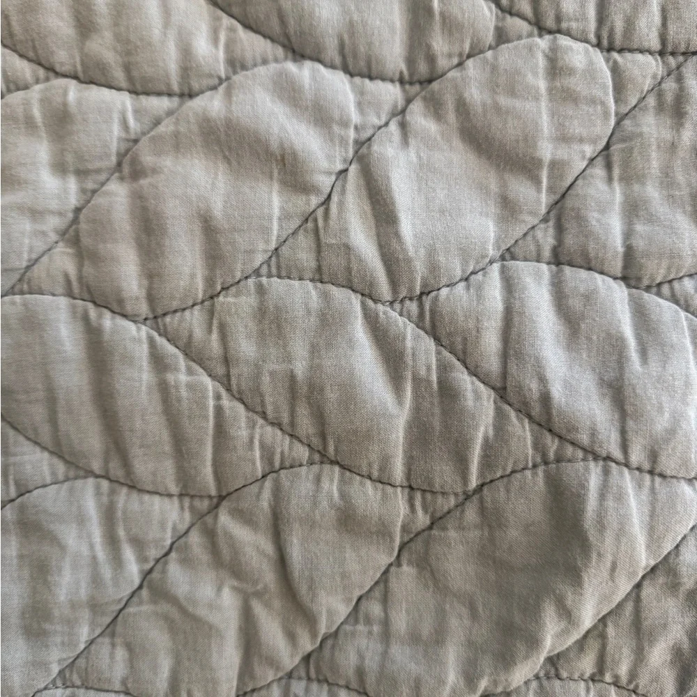 West Elm Elegant Quilted Pillow Sham Standard